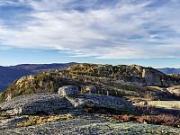 ovega_20201108_5fa836537217f.jpeg