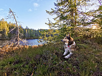 ovega_20201108_5fa8365b984e8.jpeg