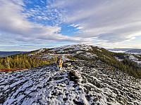 ovega_20201211_5fd312a03f22f.jpeg