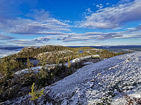ovega_20201211_5fd312a1e0d82.jpeg