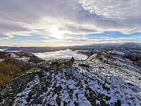 ovega_20201211_5fd312a35e479.jpeg