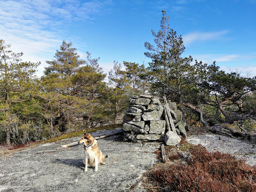 Holtefjell