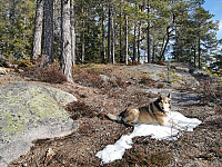 ovega_20210326_605d97f6b1f95.jpeg