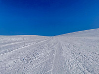 ovega_20210401_606600c44d981.jpeg