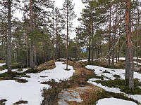 ovega_20210415_60787c0492b52.jpeg
