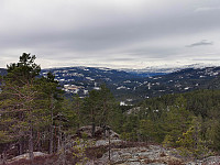 ovega_20210415_60787c0a4414b.jpeg