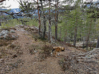 ovega_20210415_60787c0b64141.jpeg