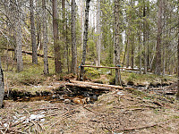 ovega_20210415_60787c0d259bf.jpeg