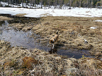 ovega_20210429_608a522d06bde.jpeg