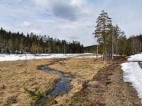ovega_20210429_608a522e88ccf.jpeg