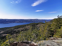 ovega_20210429_608a557b94325.jpeg
