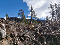 ovega_20210430_608c5841c210b.jpeg
