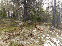 ovega_20210524_60ab4c37703aa.jpeg
