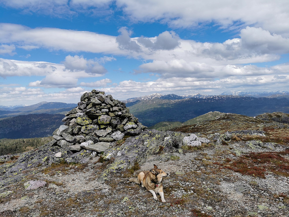 Rustfjellet