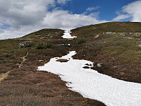 ovega_20210604_60b9b7df53255.jpeg