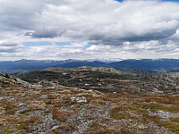 ovega_20210604_60b9b7e056f99.jpeg