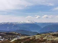 ovega_20210608_60befb7db22c6.jpeg