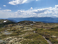 ovega_20210608_60befb81bd3c0.jpeg