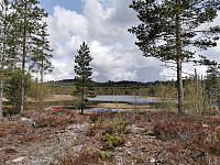 ovega_20210608_60bf05dde4502.jpeg