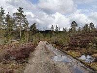 ovega_20210608_60bf05e322700.jpeg