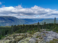 ovega_20210612_60c4df74a2020.jpeg