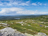 ovega_20210627_60d81bf626a1a.jpeg