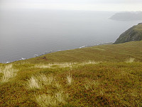 TroSko_20180916_5b9e537478d71.jpg