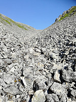 TroSko_20190807_5d4a9def1a615.jpg