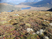 TroSko_20200919_5f662045a7fe3.jpg