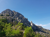 kråka_20181012_5bc115b26d254.jpg