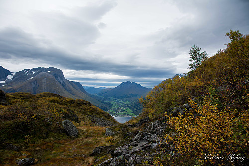 Utsikt mot Sæbø.