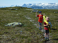 bergtatt_130708_stryteberg1.jpg