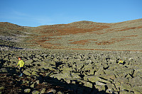 bergtatt_131012_bergsfjellet9.jpg