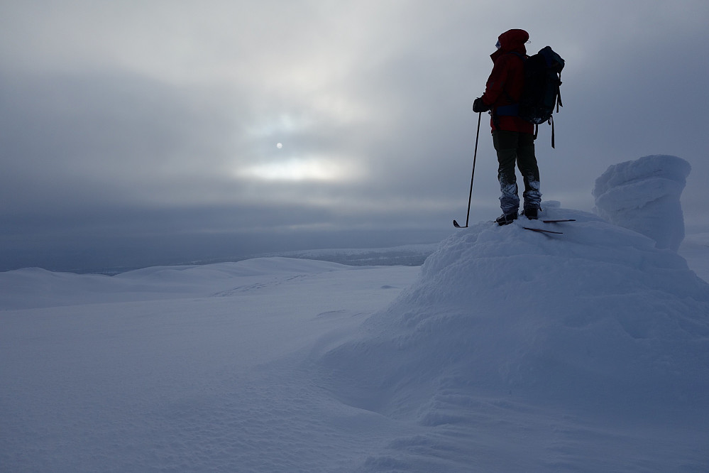 Endelig litt flott vinterlys, toppen av Bjødalskampen