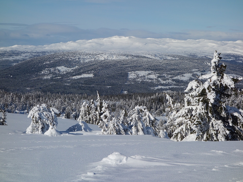 Fra Krokvassfjellet mot Spåtind.