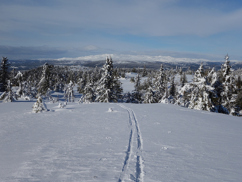 Nydelig skiføre denne dagen.