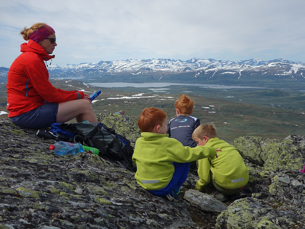 På toppen.