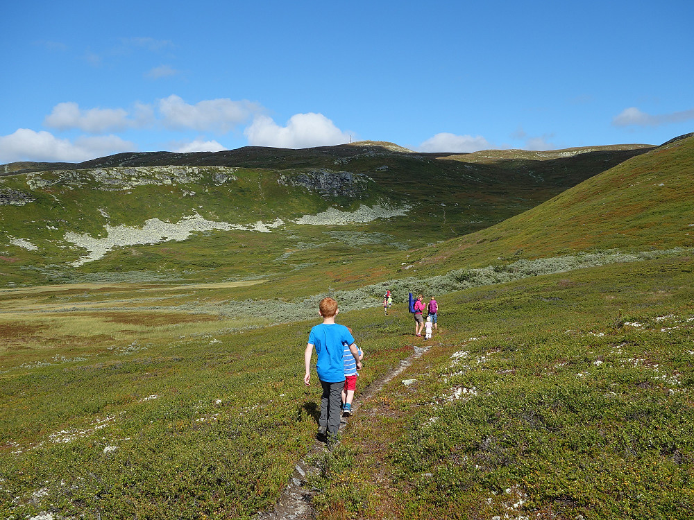 Fin sti innover snaufjellet.