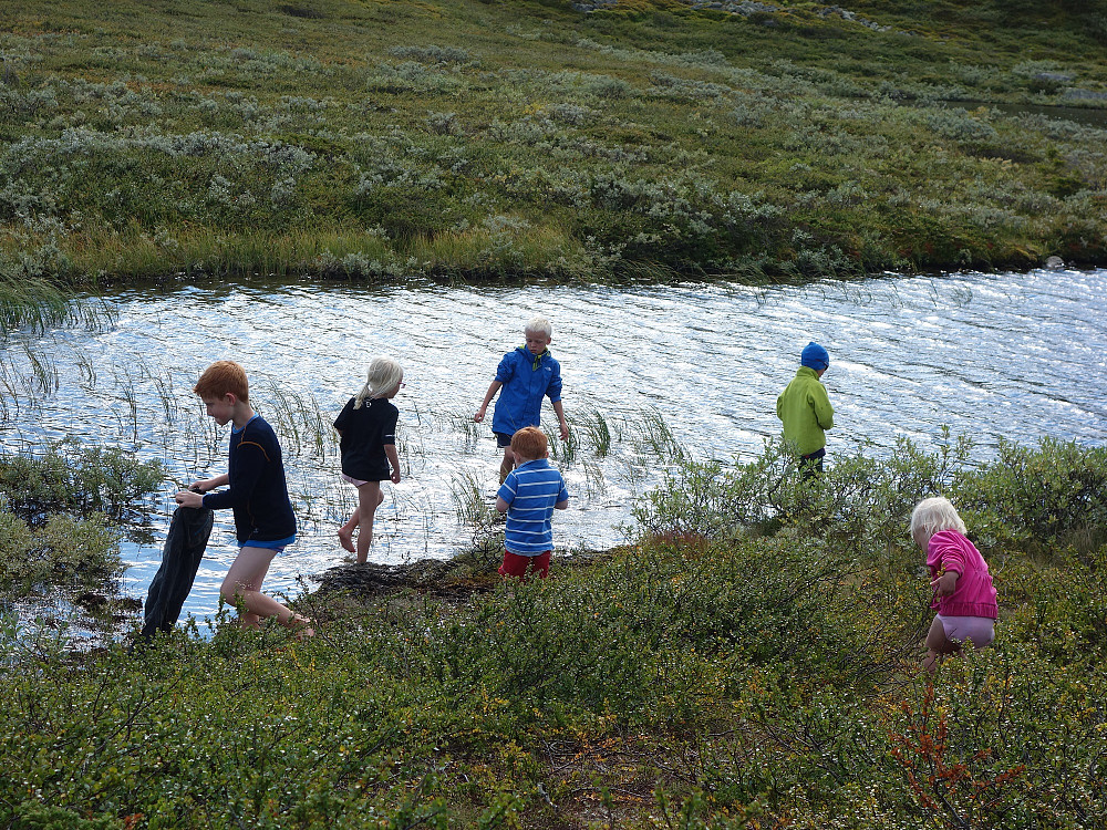 Her i vannet var det rumpetroll med bein, skikkelig spennende for de små.