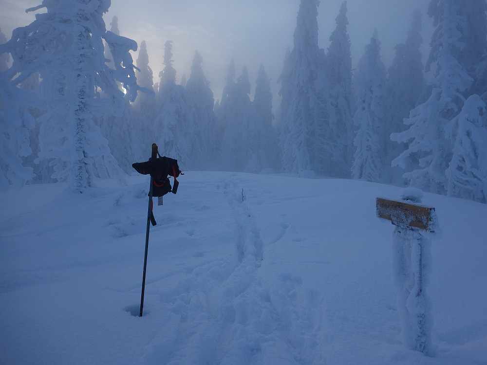 Her står det et skilt med Risberget 612 moh, men dette er ikke høyeste punkt. Det ligger litt lenger inn i skogen.