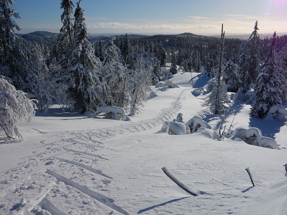 Fint føre opp til Krokvassfjellet.