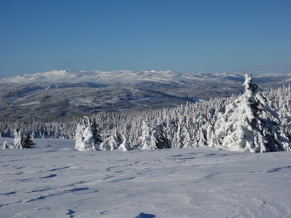Mot Spåtind fra Krokvassfjellet.