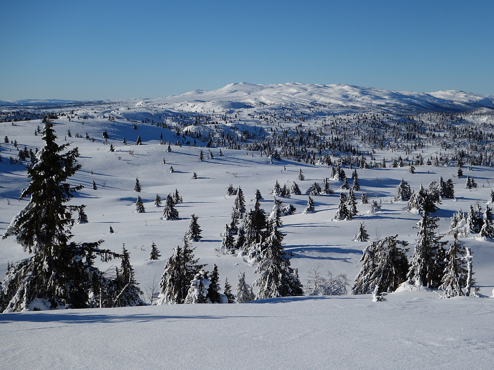 Nesten synd å lage skispor i dette landskapet.