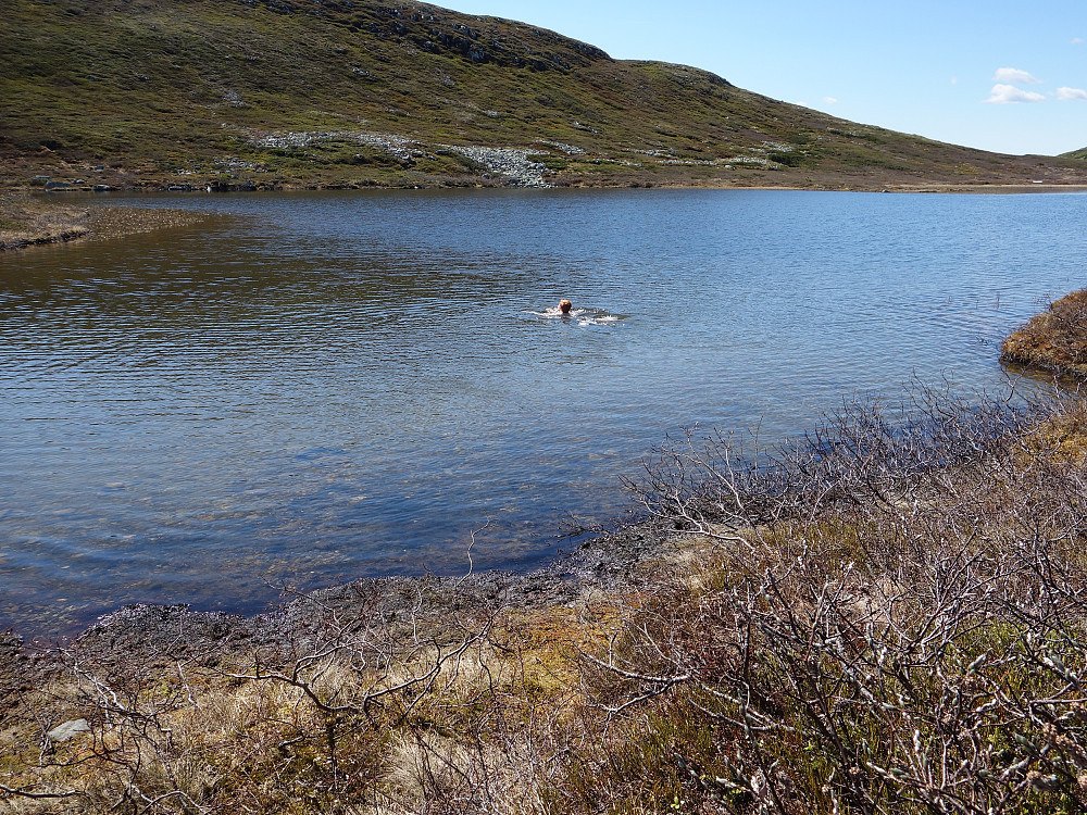 Ola svømmer i vannet på fjellet.