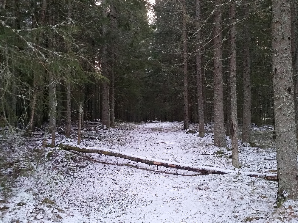 For de som ser på Snøfall så var dette veldig likt Mørke...