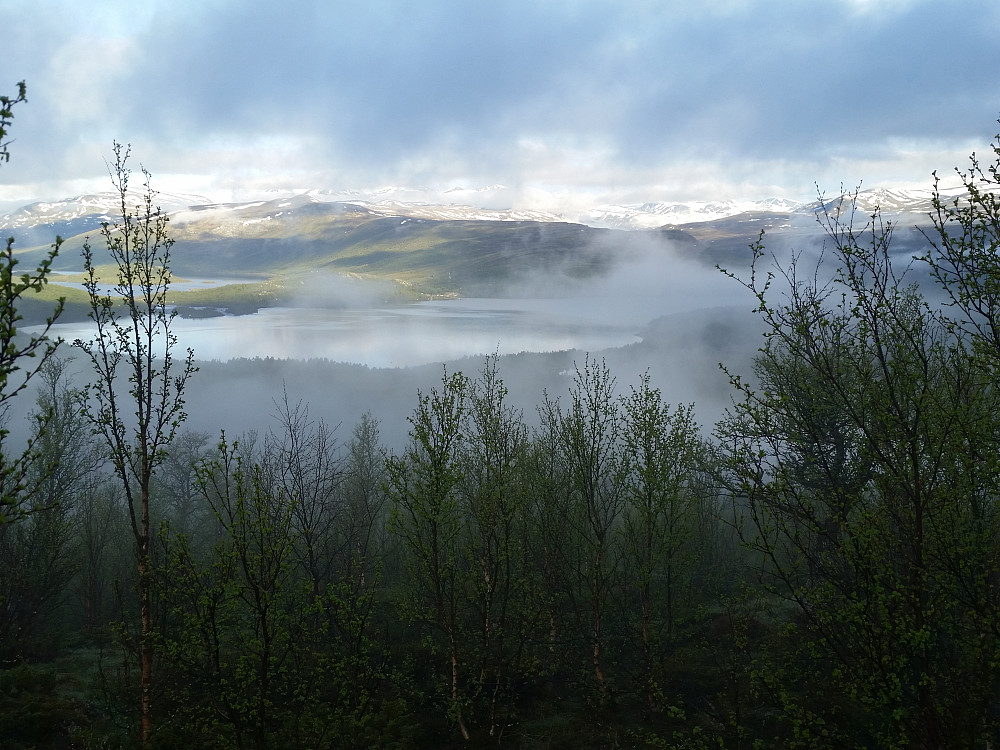 Tidlig morgen i Sjodalen.