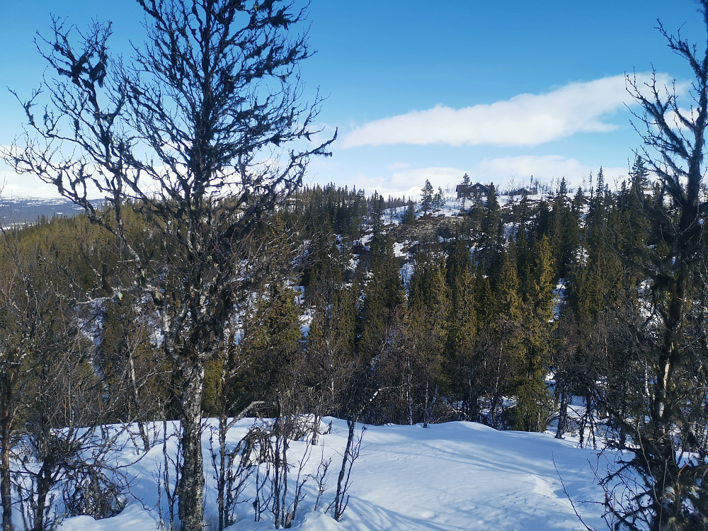 Hytta vår fra Luskerkollen.