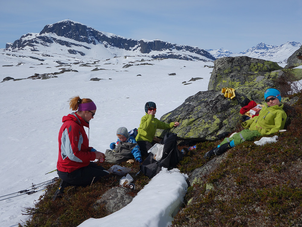 Lunsjpause i lyngen.