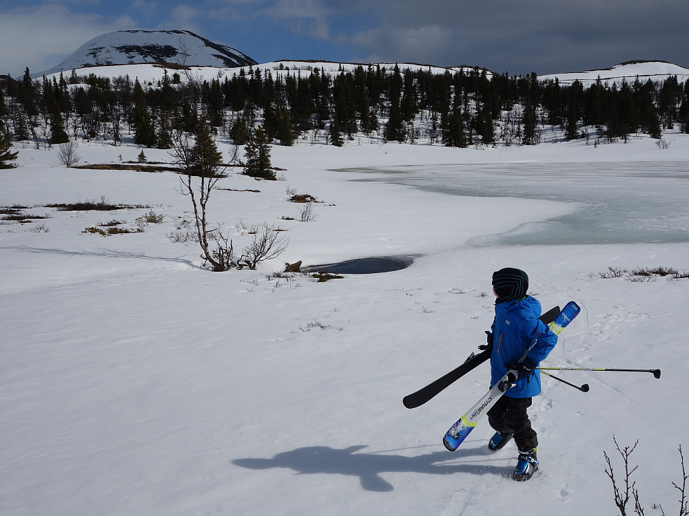 Ola måtte bære skia en liten kneik på vei tilbake.