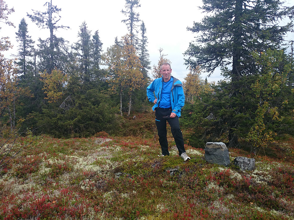Fin natur, men ikke så mye utsikt fra toppen.